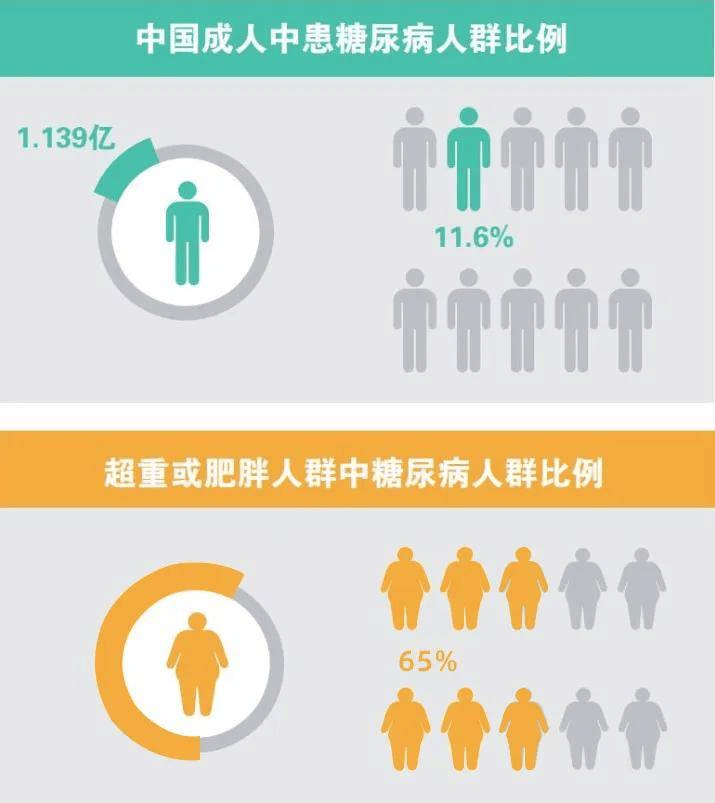 糖尿病的主要诱因找到了！肥胖是核心危险因素