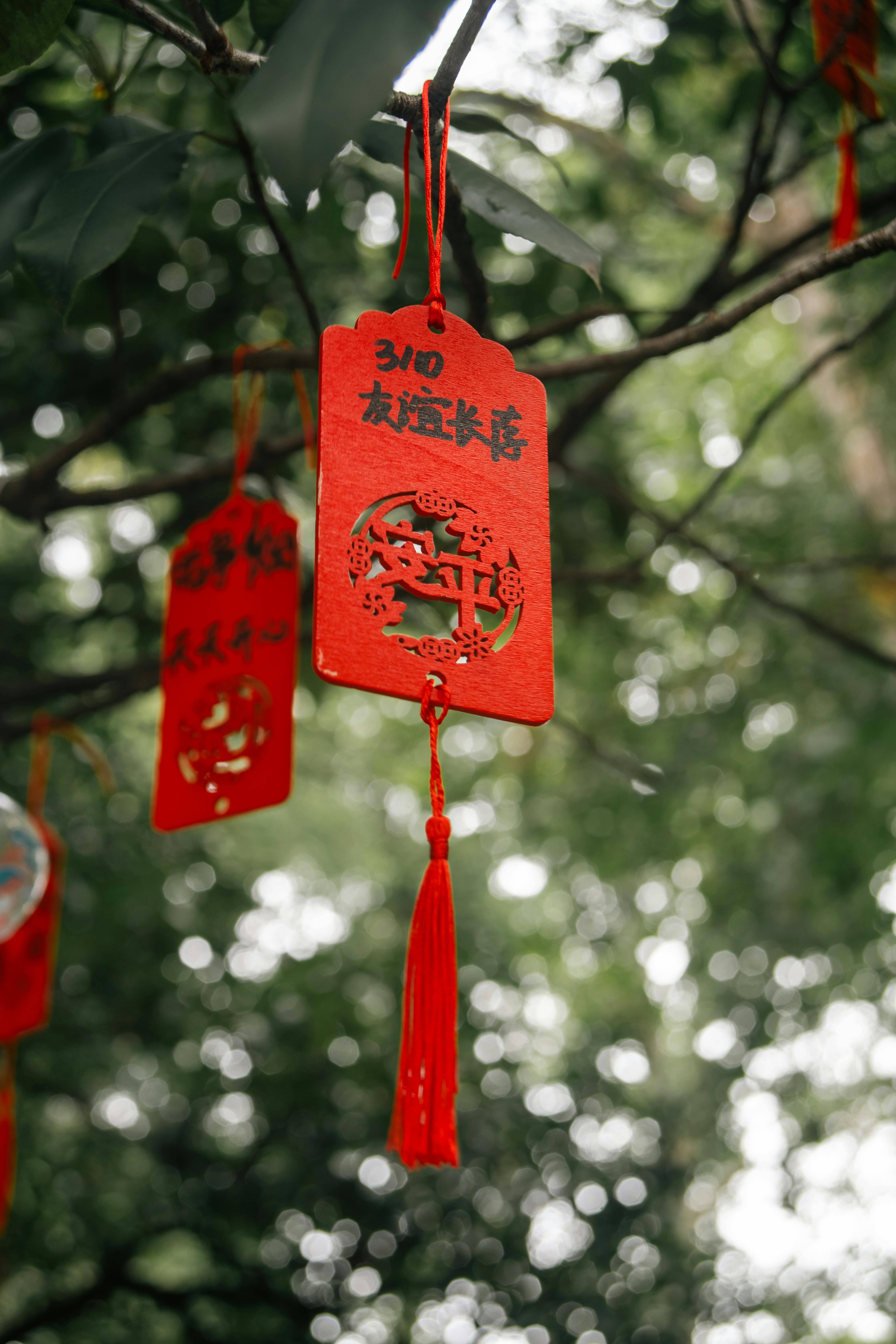 银耳+红枣，一周喝出胶原蛋白，皮肤紧致光滑！妈妈教的冻龄秘方