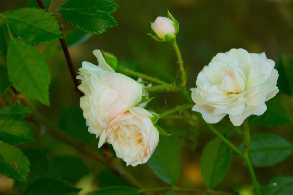 拿下一个男人，用不着天天联系，多做这件事，他才会反过来追你