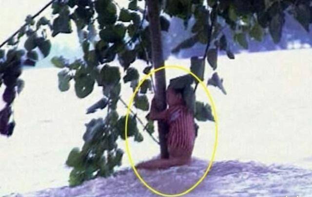 原创            原创98年特大洪水，抗洪小英雄江珊，抱树9小时获救，今咋样？