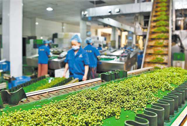 重庆成功创建两个国家地理标志保护示范区 江津花椒、酉阳茶油为何能跻身“国家队”