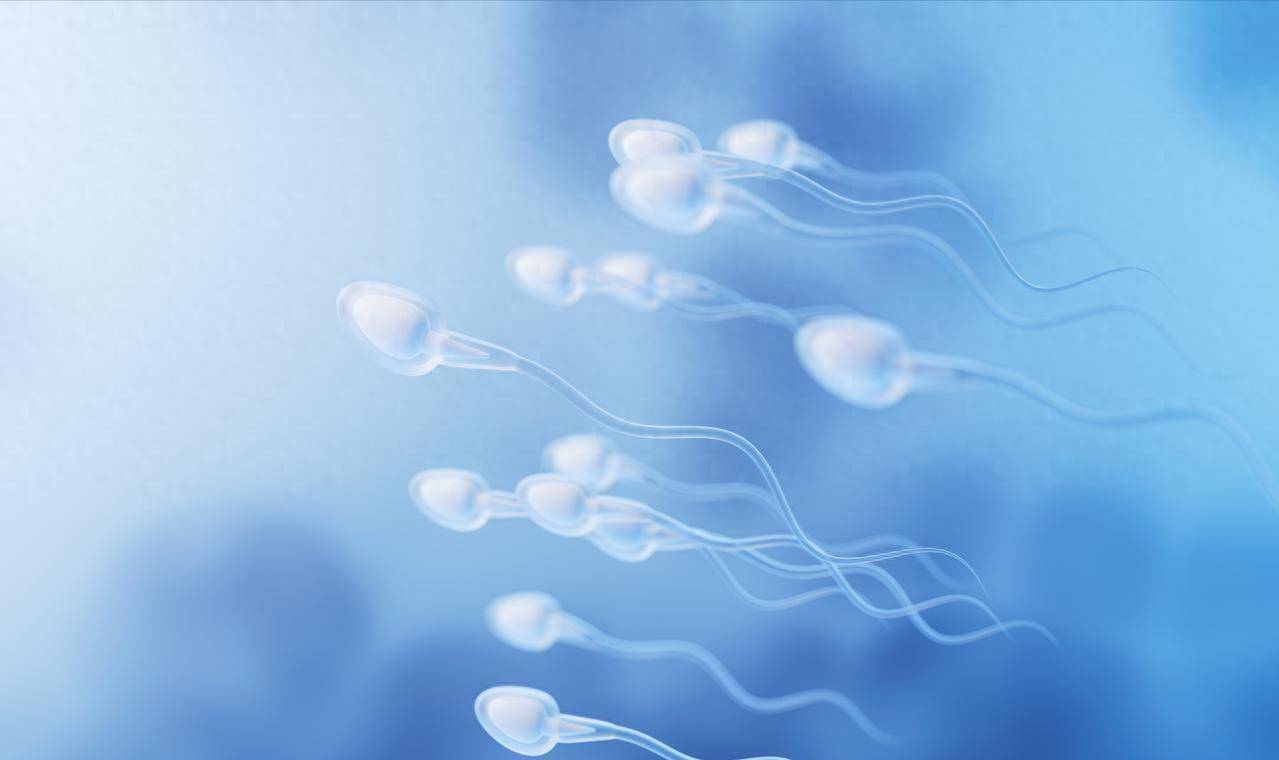 精液正常=生育力正常？当心精子DNA碎片这个“隐形雷”
