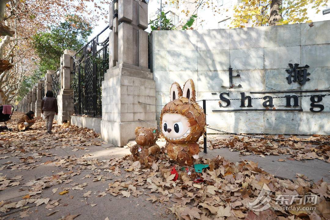 组图｜上海这里的落叶“卷”出艺术感！市民：环卫工是美院毕业的吗？