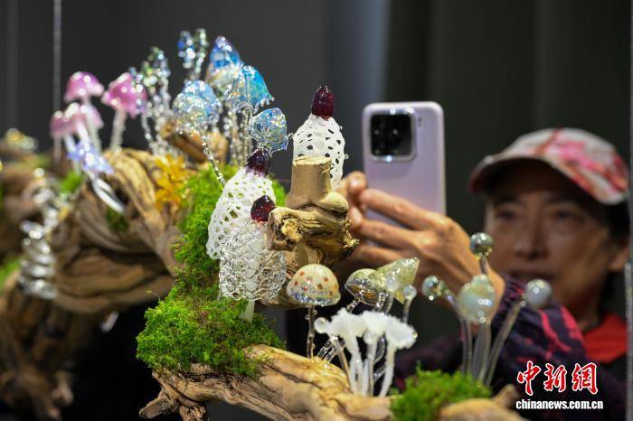 蘑幻菌物摄影艺术展亮相昆明 探秘高黎贡山真菌世界