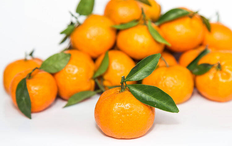 原创            橘子立大功？中科院研究：吃柑橘或能降低血栓风险，保护血管