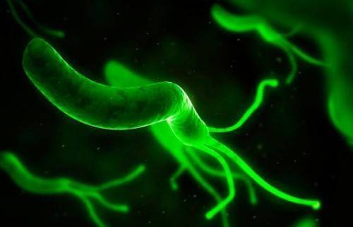 口臭胃弱不再烦，这款养胃“王者”食材，常吃胃强身健，口气清新自然来