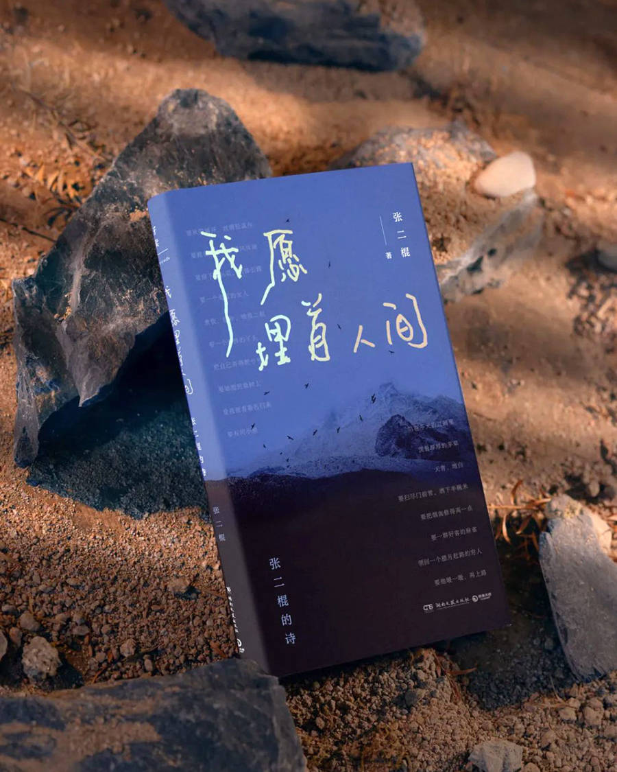 读书 | 刘金祥：生命悲悯与艺术超越——评《我愿埋首人间》