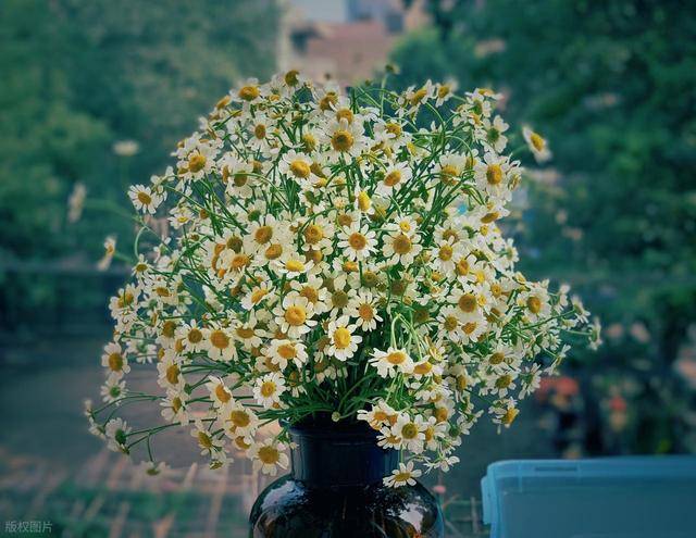 要知道，男人对你用情至深，会很直接