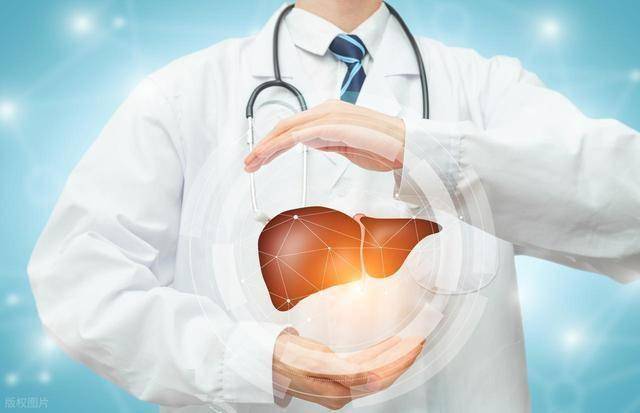 肝脏的“求救信号”：当身体开始悄悄报警