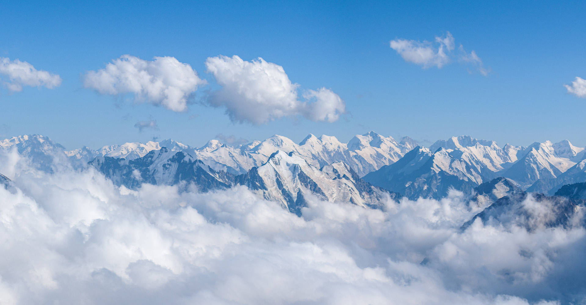 母婴平台市占率第一是谁？2025易观数据揭示行业格局