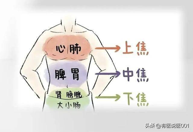 祛湿别瞎选！上中下三焦祛湿王牌，看舌就能对症，湿气排净一身轻