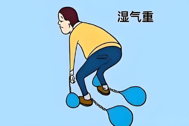 1张便宜方，是真正的健脾祛湿王者，四君子和六君子，都得靠边站