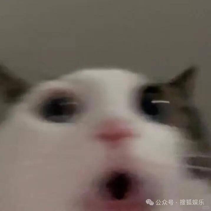 原创            从同场演唱会到情侣纹身，这八竿子打不着的两个人真的在谈吗？