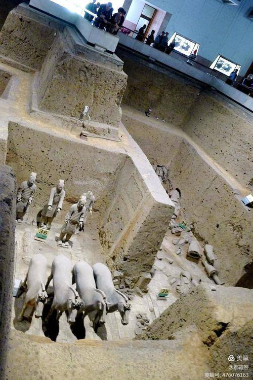 山楂果红似玛瑙 挂满枝头惹人垂涎