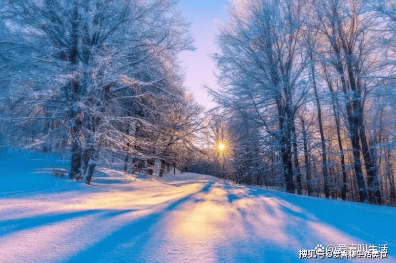 原创            大雪过后，要注意进补了，冬令“5宝”记得吃起来，来年有个好身体！