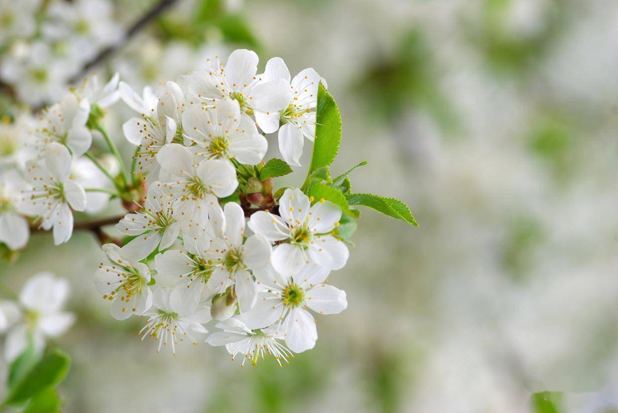 男人真心爱你，才有这五个本能的反应，不爱的不会有