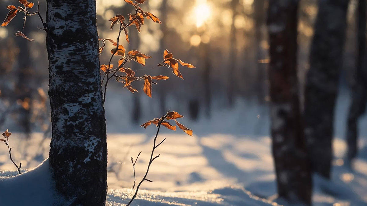 原创            冬至后要“避寒养阳”，牢记：吃3样，喝2汤，忌1事，蓄养精力，身强体壮迎开春