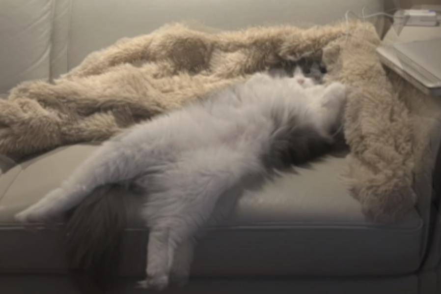 坐得越久，脑子越呆？丨每日话题