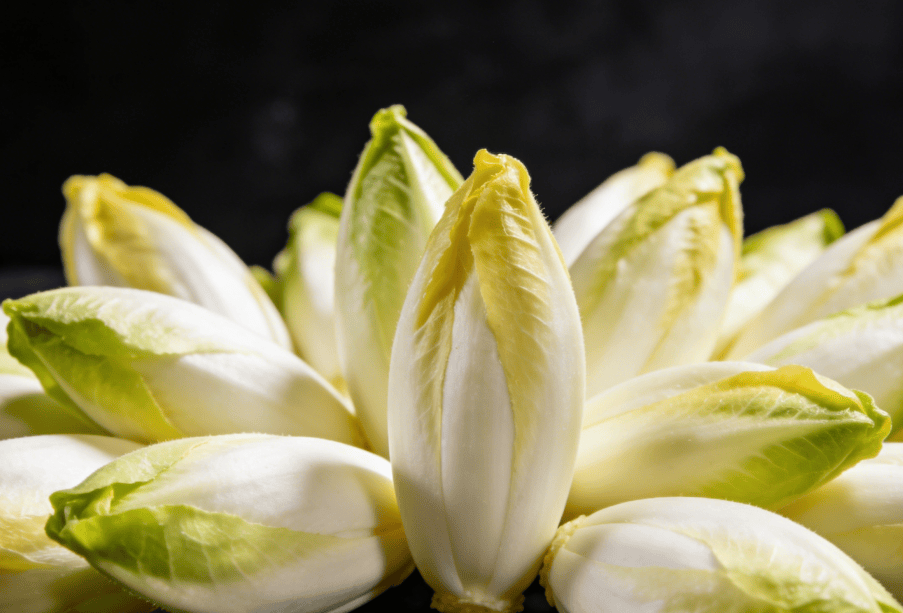 养生：吃菊苣的好处