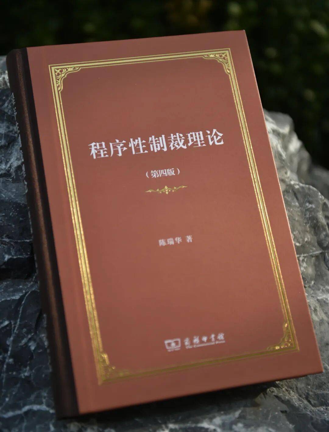 新书速递∣陈瑞华著《程序性制裁理论》（第四版）