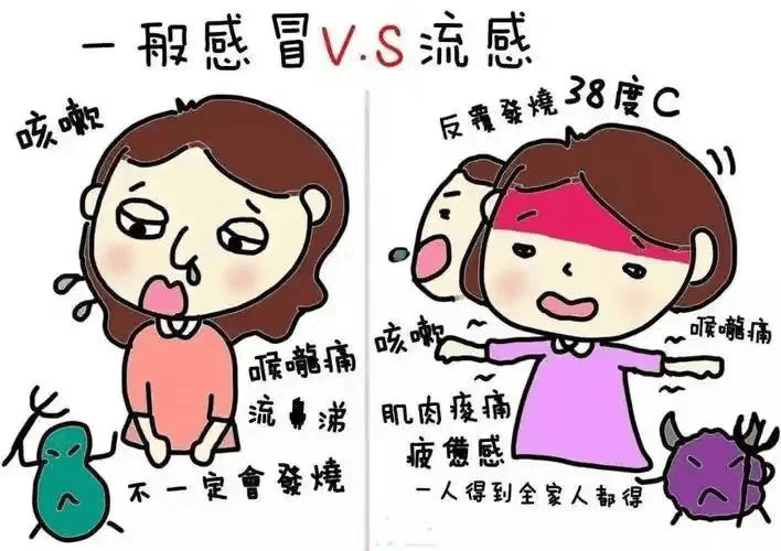 【汤医科普】冬日流感预防：筑牢防线，平安过冬