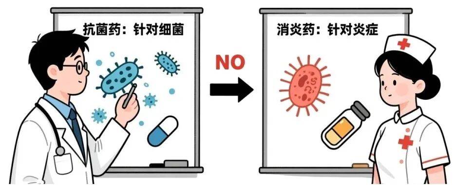 抗菌药≠消炎药！科学用药，从分清它们开始