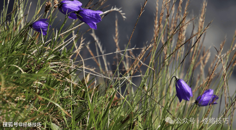 原创            《黄帝内经》：从走路的姿态，看出你的健康