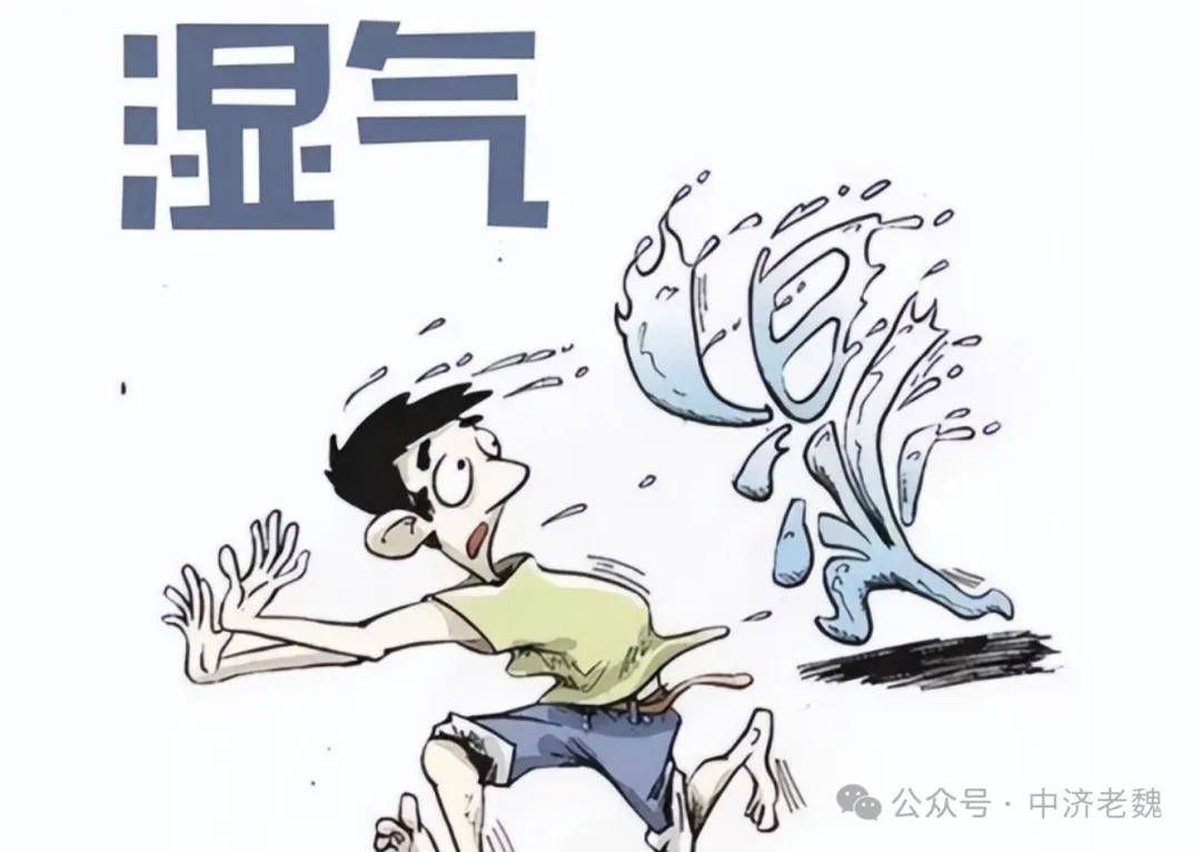 湿气重有哪些表现？一文读懂中医祛湿原理与方法