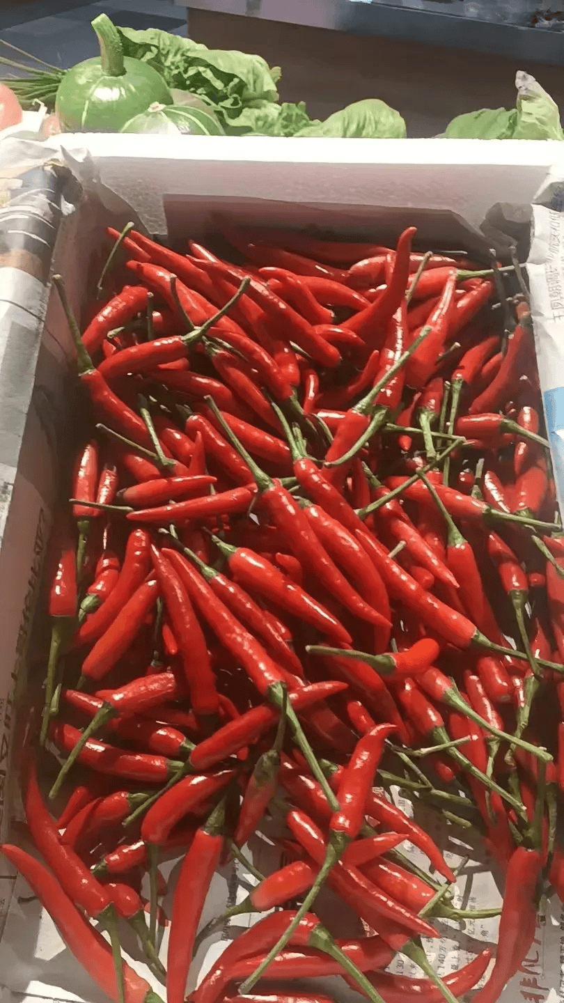 身价暴涨！浙江很多人拿来做下饭菜，老板：顾客说多贵都要买，因为……