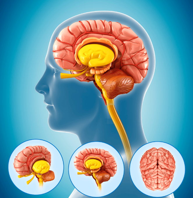 张涵英主任医师：脑膜瘤术后风险，这些“隐形挑战”需提前知晓