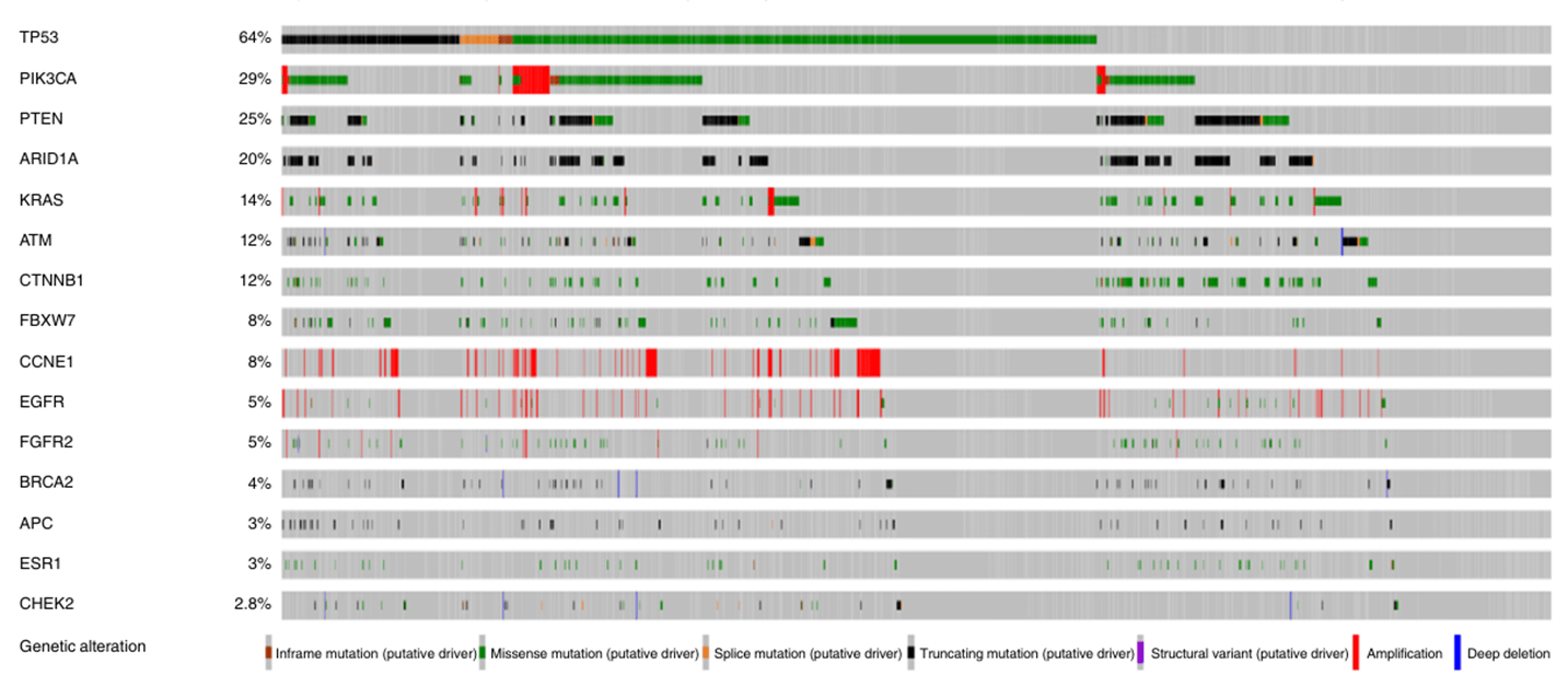 ctDNA基因组特征与晚期子宫内膜癌真实世界疗效关联研究