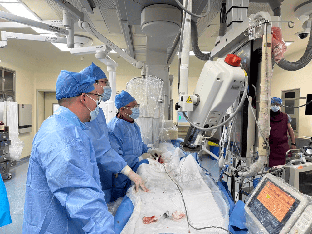 【交医精术】心血管内科成功实施陕西省首例经皮超声肾动脉交感神经消融术