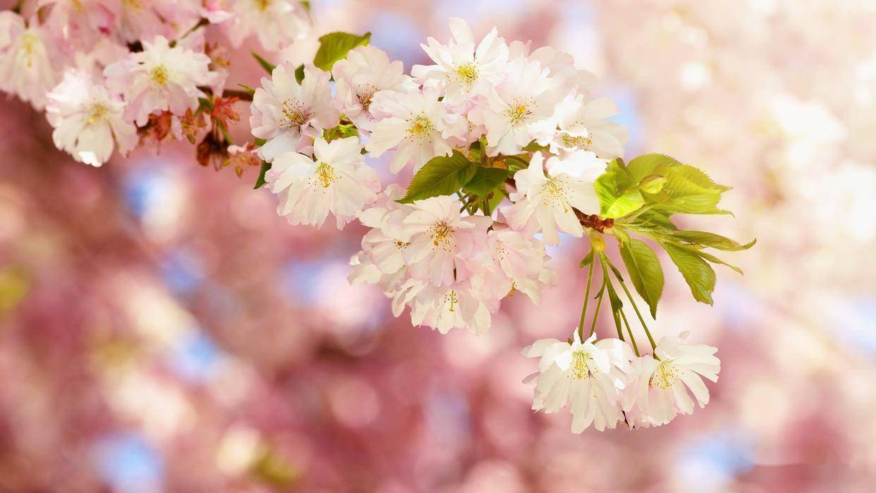男人对你有好感，还是真的爱你，这些反应骗不了人