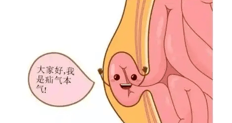 为何男性得疝气的概率远高于女性？