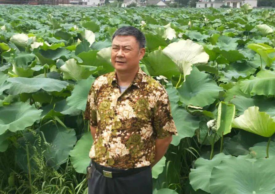 当代书法名家丨张泽民——书法作品欣赏