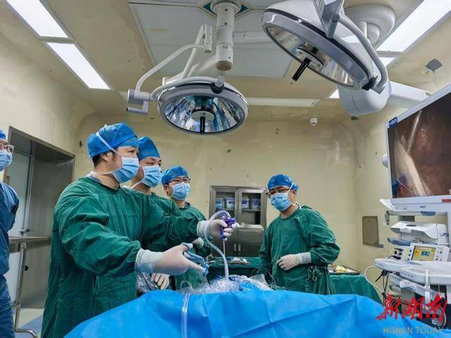 湖南首例！湘雅三医院专家助力湘西完成创新肾肿瘤切除术