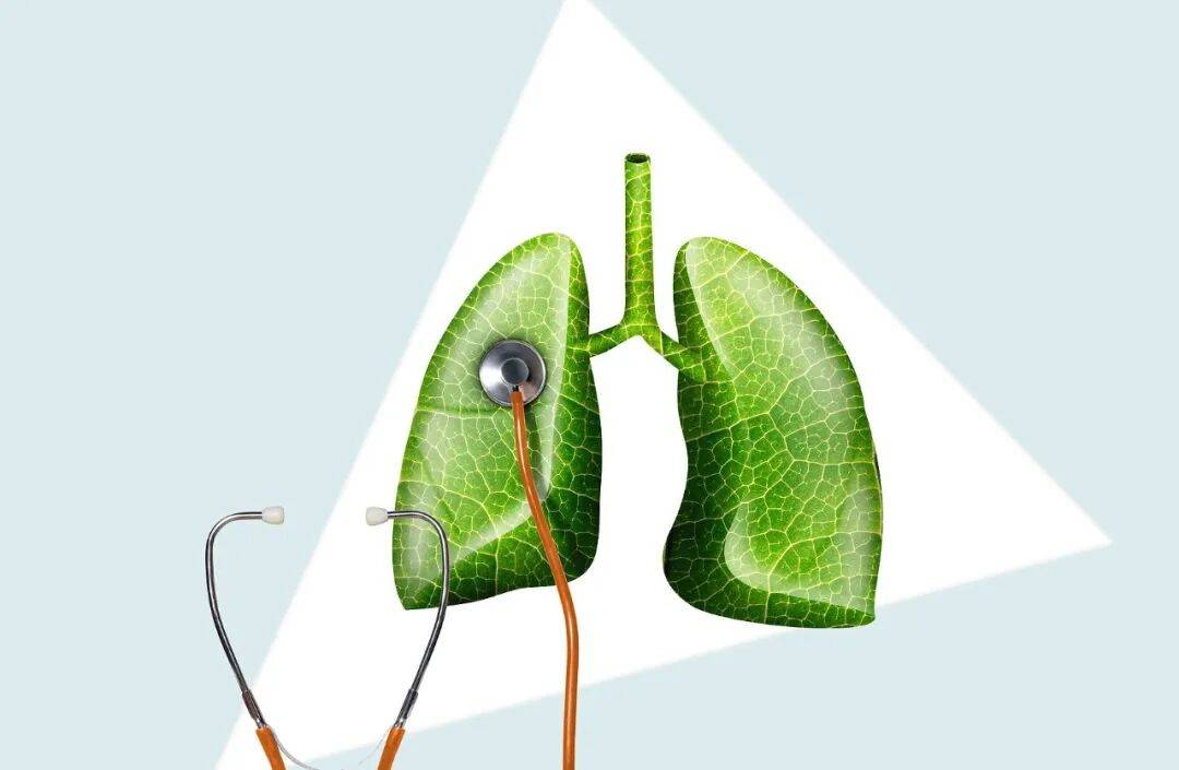 【健康科普】别让肺癌悄悄“潜伏”！用科学筛查，守护自由呼吸