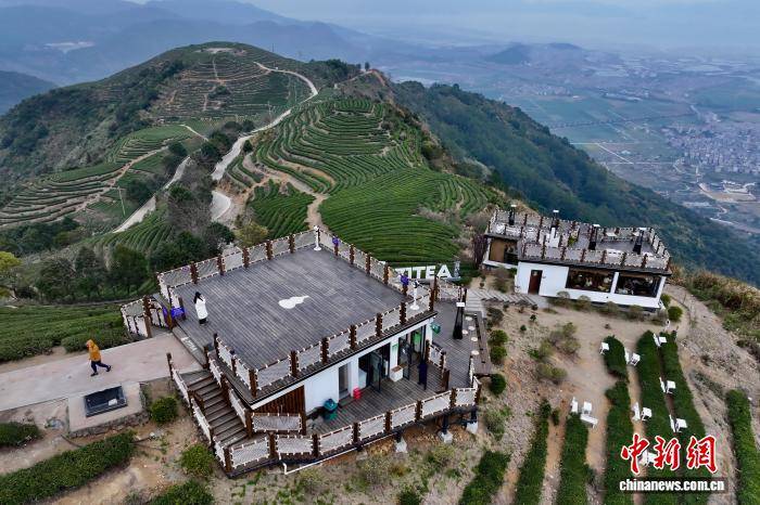福建连江：登高望茶山 风光如画卷