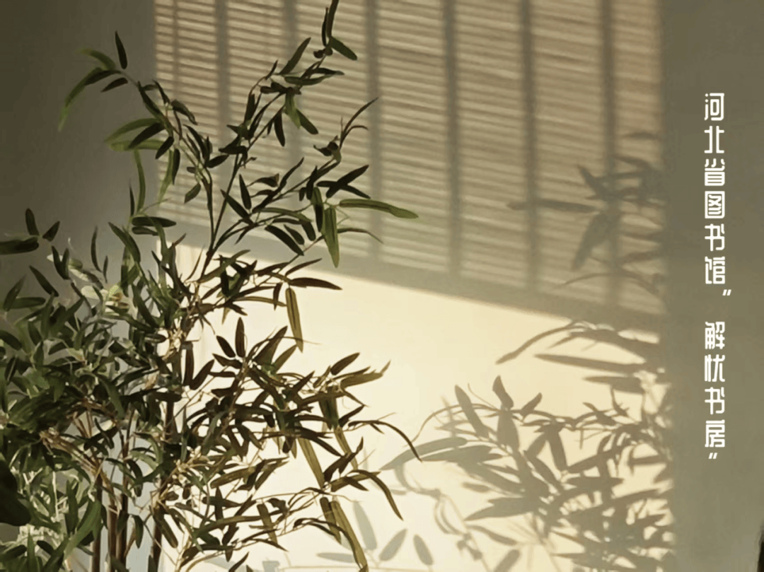 活动回顾｜省图“解忧书房”第四期温暖落幕