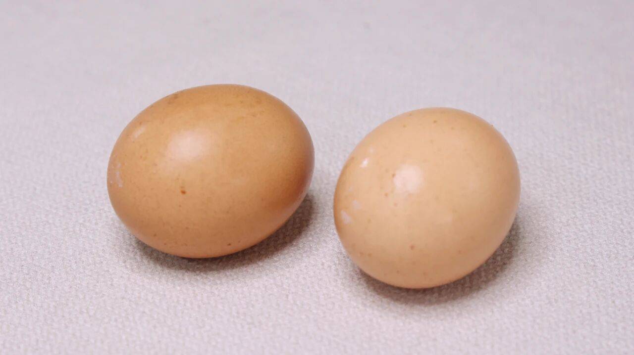 原创            每天早上吃一个煮鸡蛋，有益于身体健康，但也要注意这2个事项