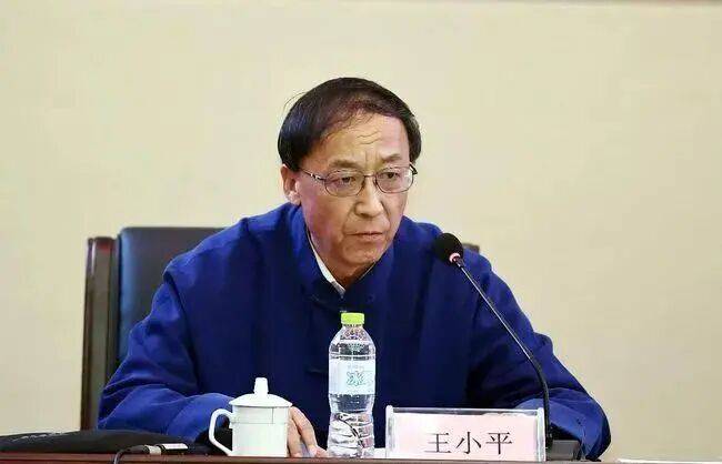 王小平受贿案二审维持原判：有期徒刑十年六个月