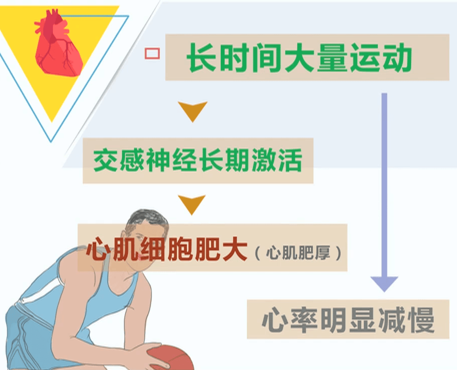 30岁健美冠军猝死警示：别让过度运动伤了你的心
