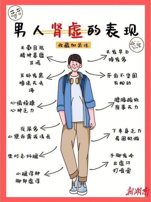 你被“肾虚”了吗？