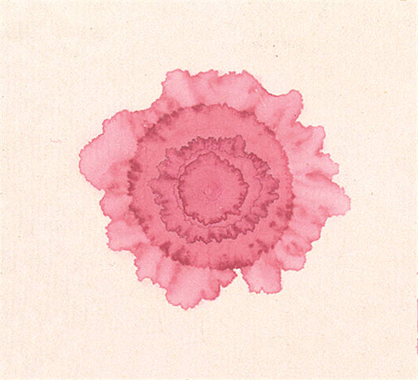 墨漾粉罂粟 / 困局中的本源之光 / 南溪裸眼3D艺术里的哲思秘境