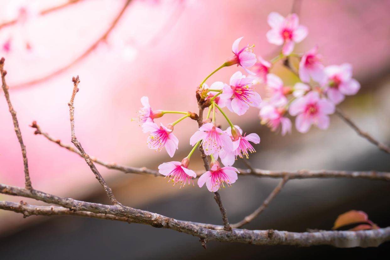 一个男人动心了，哪怕不联系，也会有这几个举动，伪装不了