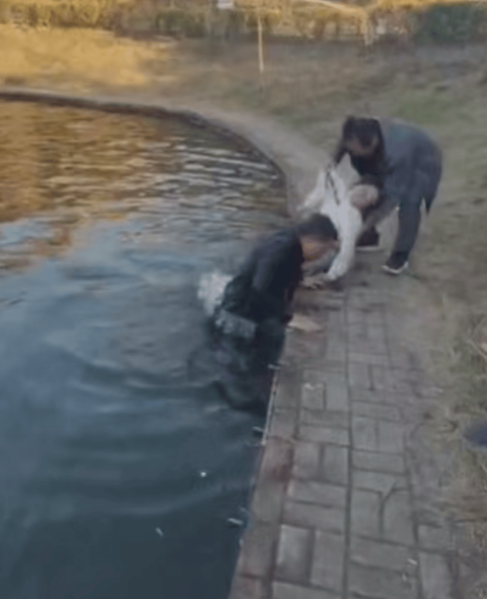 下水救人不留名的男子系江西陶瓷工艺美院教授：作为老师要言传身教，换谁遇到都会伸手