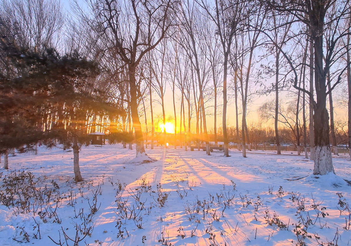原创            冬至后要“养阴藏阳”，有钱没钱多吃这5样，滋阴降燥护元气，为开春攒能量