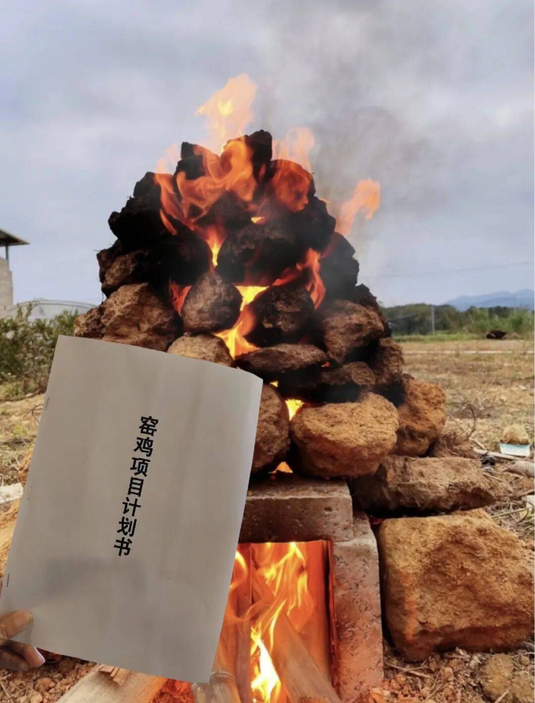 柳州俩人竟在绿化带里“窑鸡”，鸡还未入窑就......