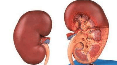 男人吃什么更持久？五类食物令男性精力充沛