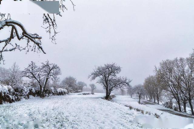 后天冬至，牢记：1不碰，2要藏，吃3样，安康顺利过寒冬